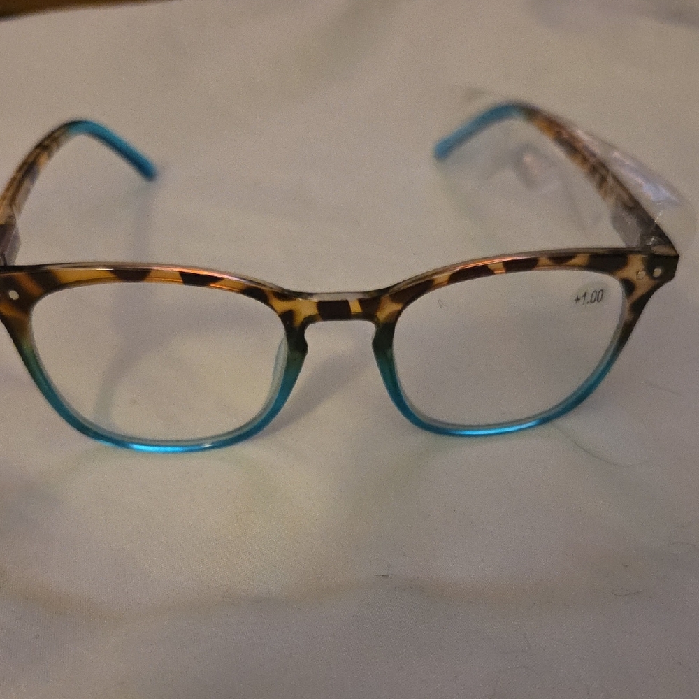Womens' Tortoise and Teal Reading Glasses (+1.00)
